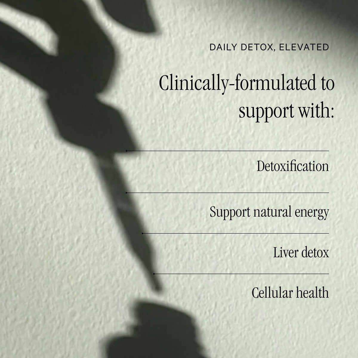 Juna Detox Chlorophyll Drops — Daily Wellness & Detox Support | Lemon Mint Spa Water Taste | Supports Cellular Health, Cleanse - PrimeBioHealth - canada supplements