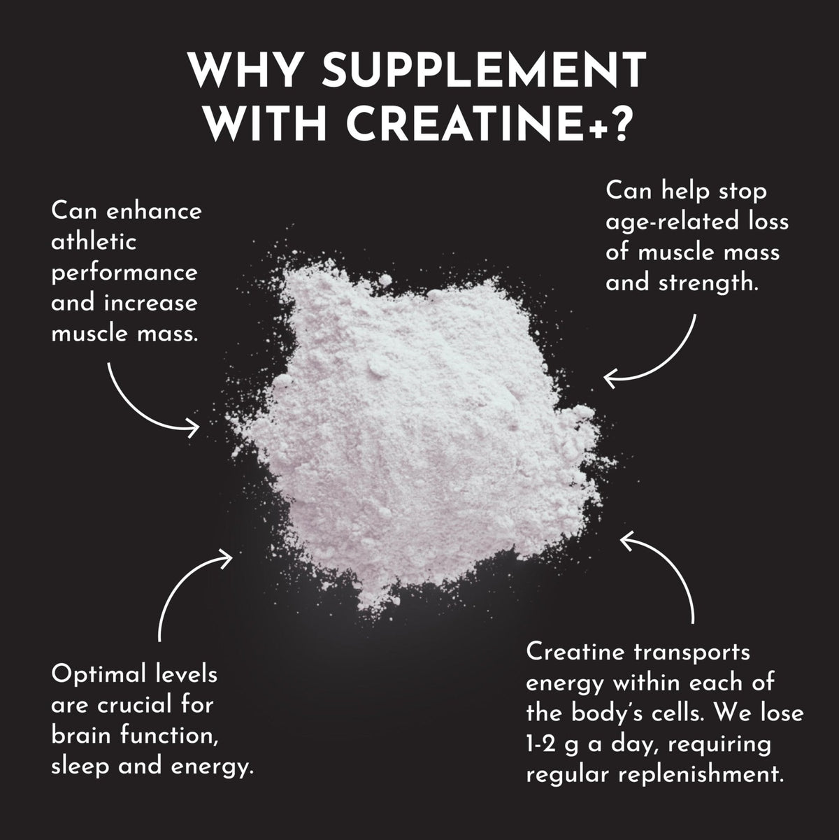JUST INGREDIENTS Creatine Monohydrate Powder with Rejen Fulvic Mineral Complex - Supports Muscle Recovery, Energy, Strength, Cognitive Function - 30 Servings - PrimeBioHealth - canada supplements