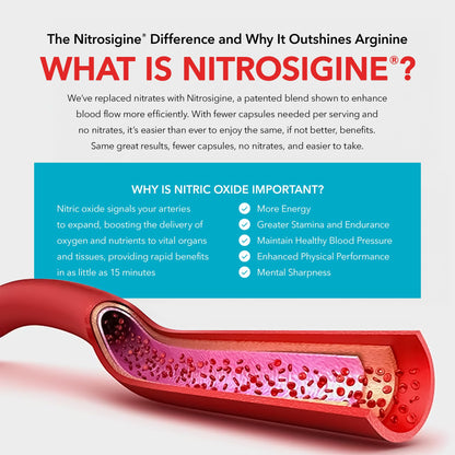 Juvenon BloodFlow-7 Nitric Oxide Supplements for Men & Women - Natural Nitric Oxide Booster with Nitrosigine® + S7® - PrimeBioHealth - canada supplements