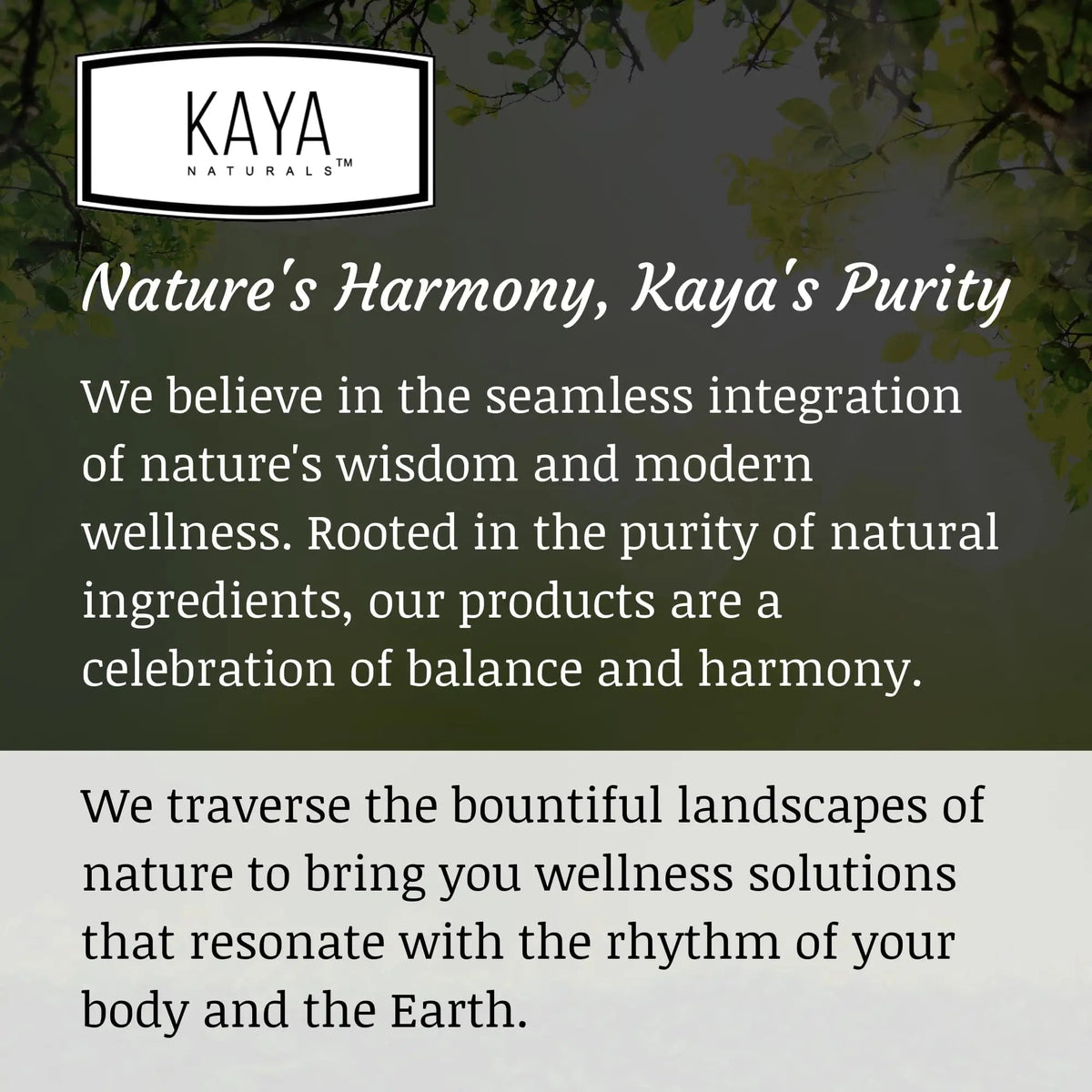 Kaya Naturals Women's Multivitamin, Overall Healthy Antioxidant, and Immune Support, Vitamins A, D, C, E, Biotin - PrimeBioHealth - canada supplements