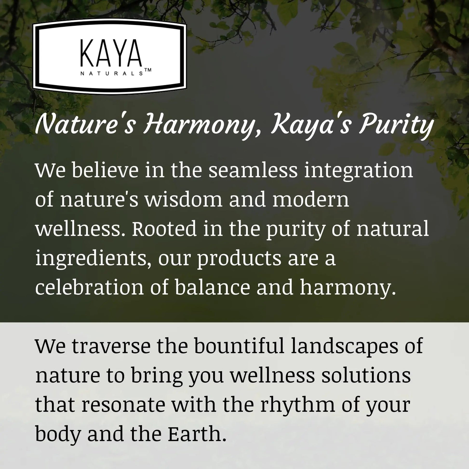 Kaya Naturals Women's Multivitamin, Overall Healthy Antioxidant, and Immune Support, Vitamins A, D, C, E, Biotin - PrimeBioHealth - canada supplements