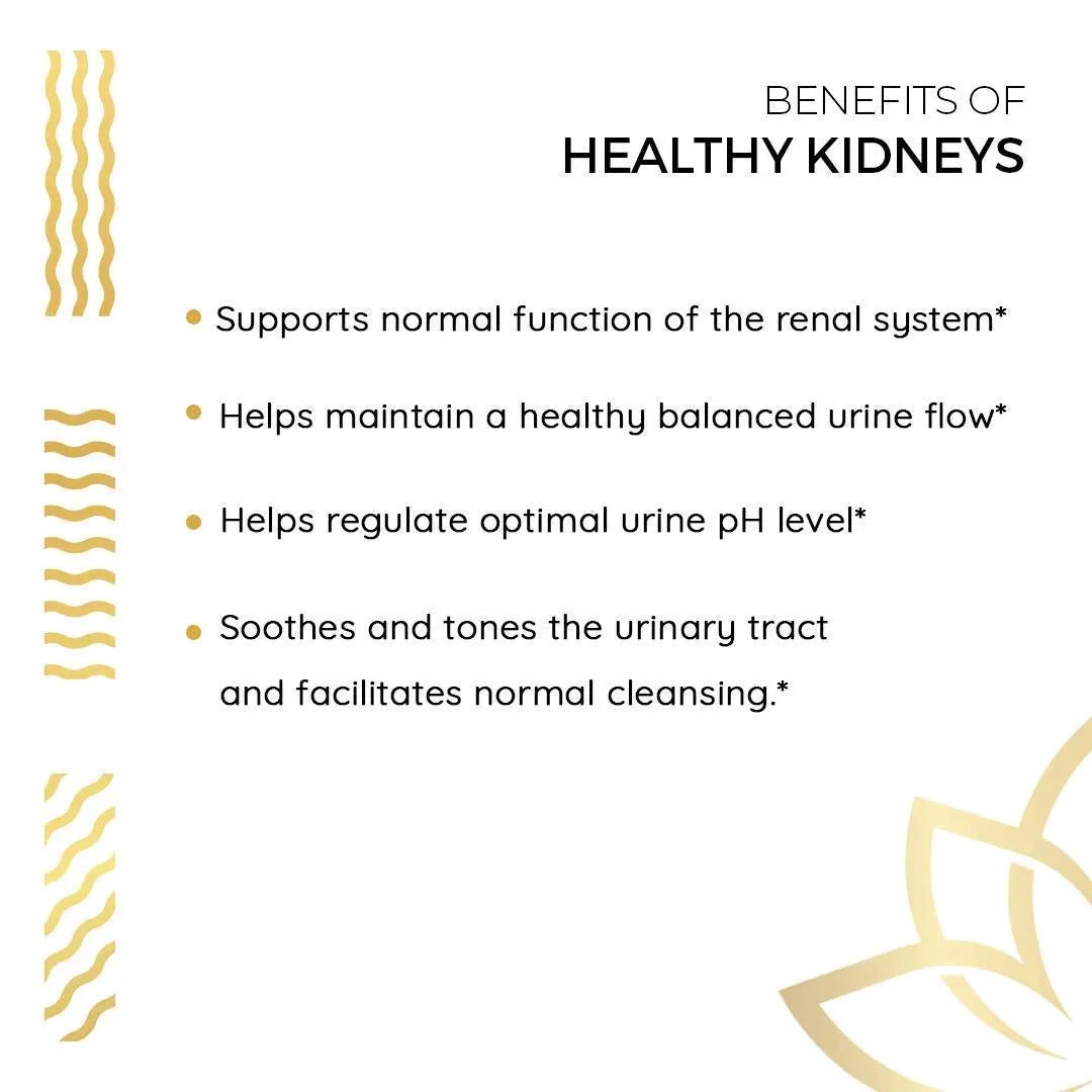Kerala Ayurveda Healthy Kidney Herbal Tablets | Support Normal Kidney Function and Health | Kidney and Bladder Support | Urinary System Support - 90 Count - PrimeBioHealth - canada supplements