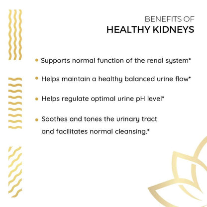 Kerala Ayurveda Healthy Kidney Herbal Tablets | Support Normal Kidney Function and Health | Kidney and Bladder Support | Urinary System Support - 90 Count - PrimeBioHealth - canada supplements