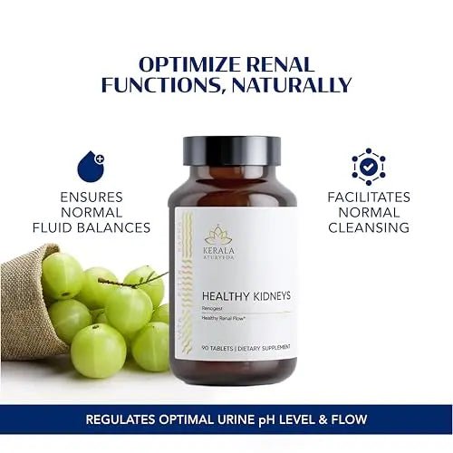 Kerala Ayurveda Healthy Kidney Herbal Tablets | Support Normal Kidney Function and Health | Kidney and Bladder Support | Urinary System Support - 90 Count - PrimeBioHealth - canada supplements