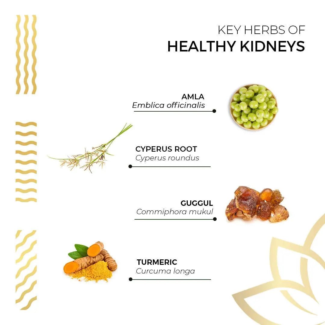 Kerala Ayurveda Healthy Kidney Herbal Tablets | Support Normal Kidney Function and Health | Kidney and Bladder Support | Urinary System Support - 90 Count - PrimeBioHealth - canada supplements