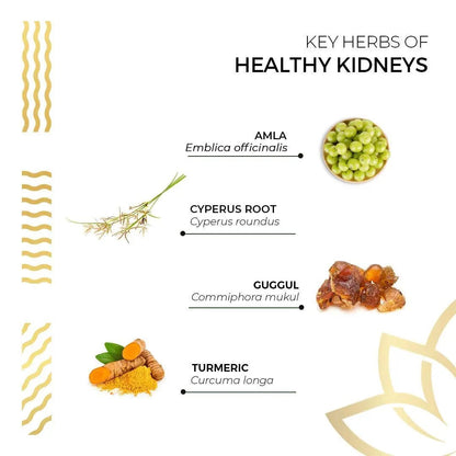 Kerala Ayurveda Healthy Kidney Herbal Tablets | Support Normal Kidney Function and Health | Kidney and Bladder Support | Urinary System Support - 90 Count - PrimeBioHealth - canada supplements