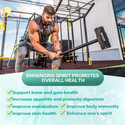 KFG Probiotic Supplement 100 Billion CFU, 20 Strains, 2 Prebiotics and Digestive Enzymes, Supports Digestion, Immune Support, Gut Health and Metabolism, Non-GMO, - PrimeBioHealth - canada supplements