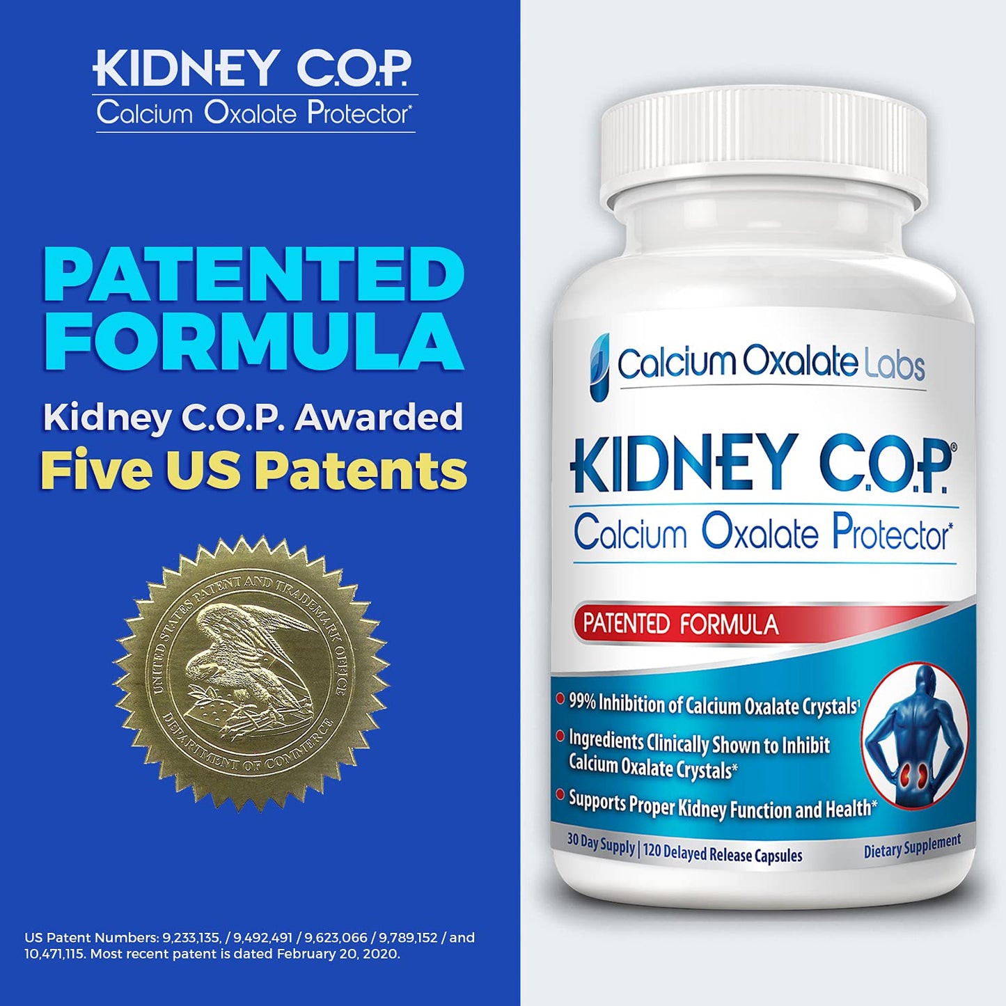 KIDNEY C.O.P. Calcium Oxalate Protector 120 Capsules, Patented Kidney Support for Calcium Oxalate Crystals, Stop Recurrence - PrimeBioHealth - canada supplements