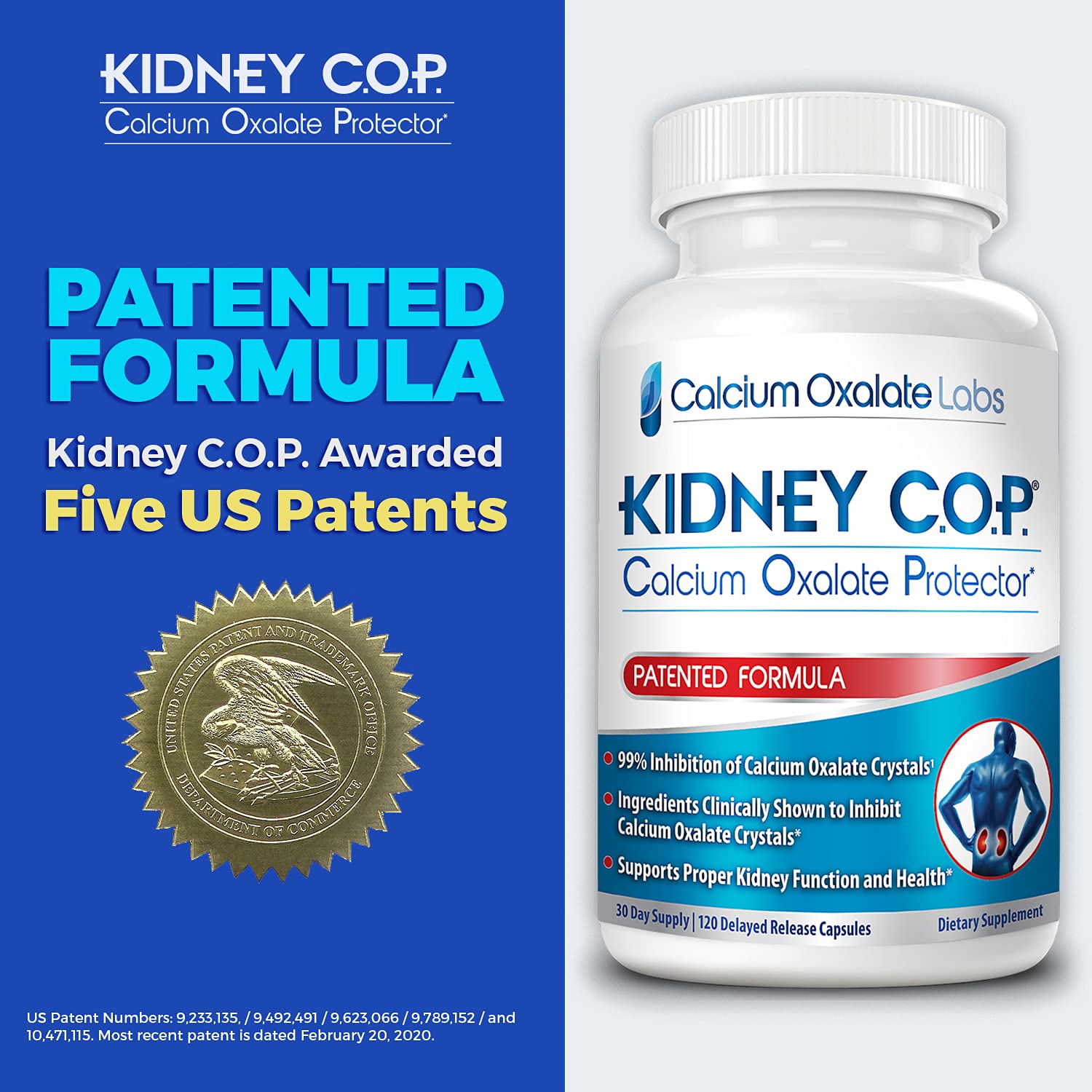 KIDNEY C.O.P. Calcium Oxalate Protector 120 Capsules, Patented Kidney Support for Calcium Oxalate Crystals, Stop Recurrence - PrimeBioHealth - canada supplements