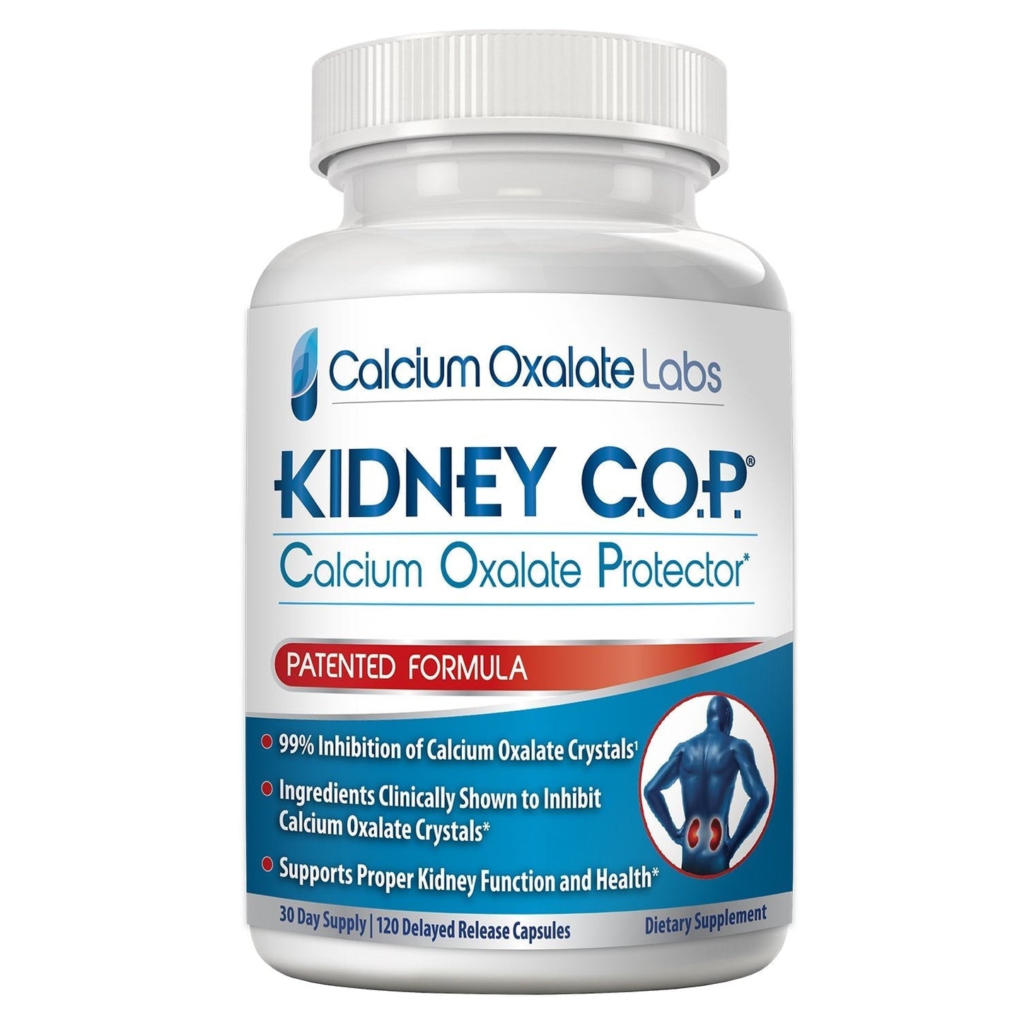 KIDNEY C.O.P. Calcium Oxalate Protector 120 Capsules, Patented Kidney Support for Calcium Oxalate Crystals, Stop Recurrence - PrimeBioHealth - canada supplements
