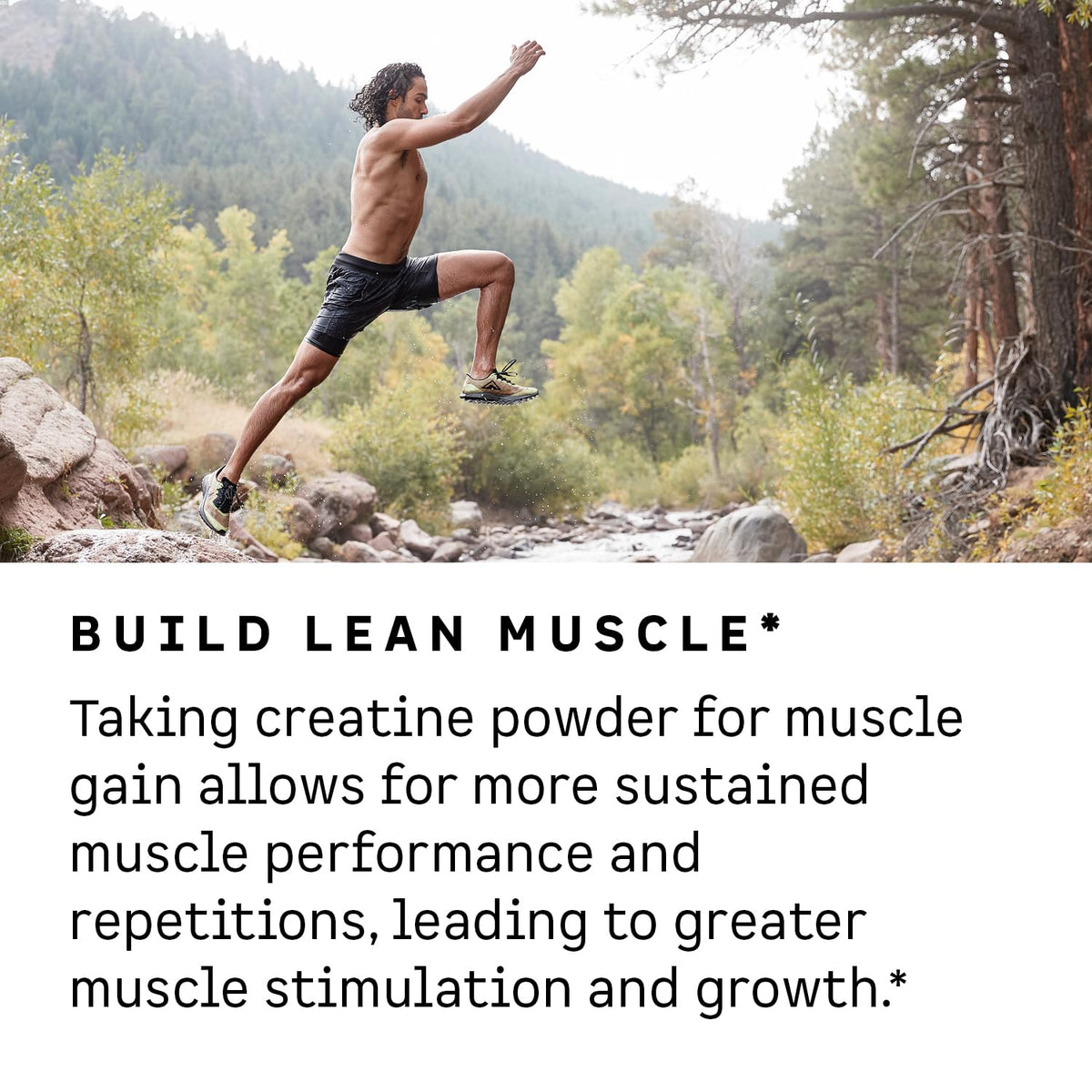 Kion Creatine | Fuel Your Performance, Energy & Strength | 30 Servings - PrimeBioHealth - canada supplements