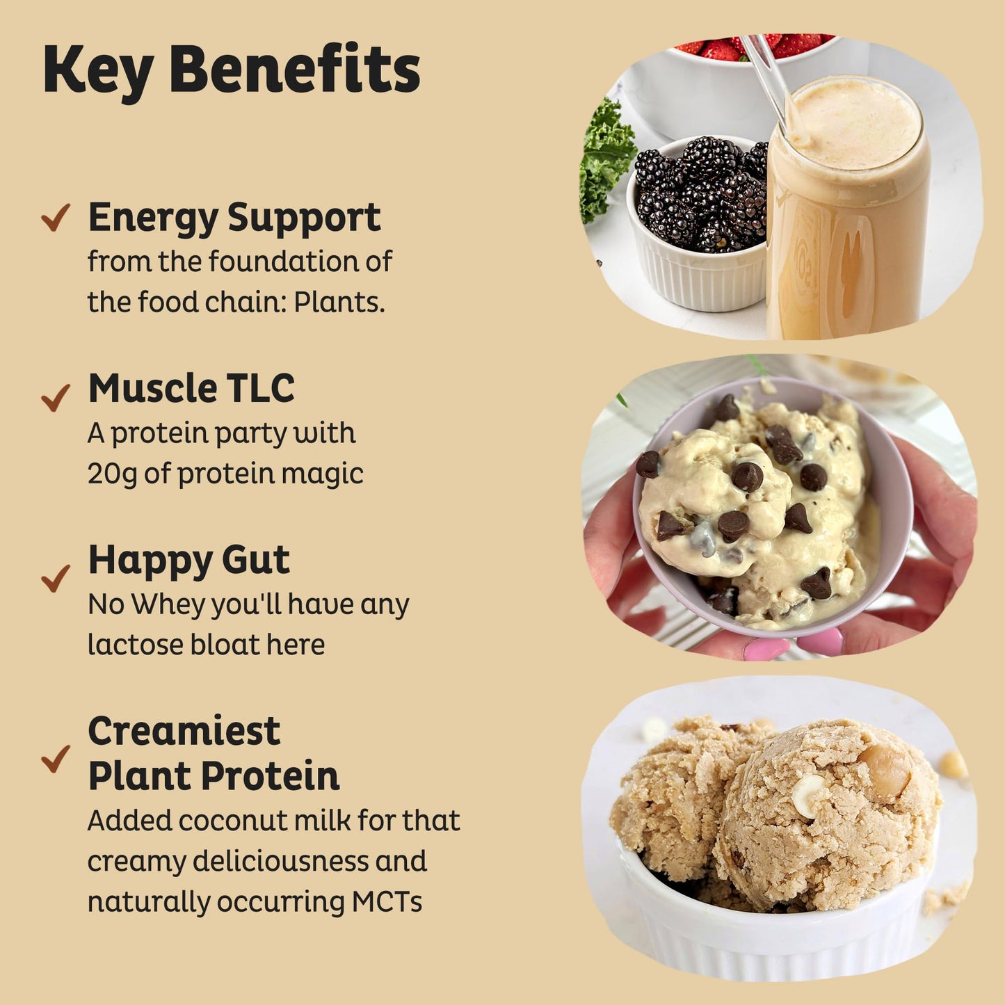KOS Vegan Protein Powder Erythritol Free, Vanilla USDA Organic - Pea Protein Blend, Plant Based Superfood Rich in Vitamins & Minerals - Keto, Dairy Free - Meal Replacement for Women & Men, 28 Servings - PrimeBioHealth - canada supplements