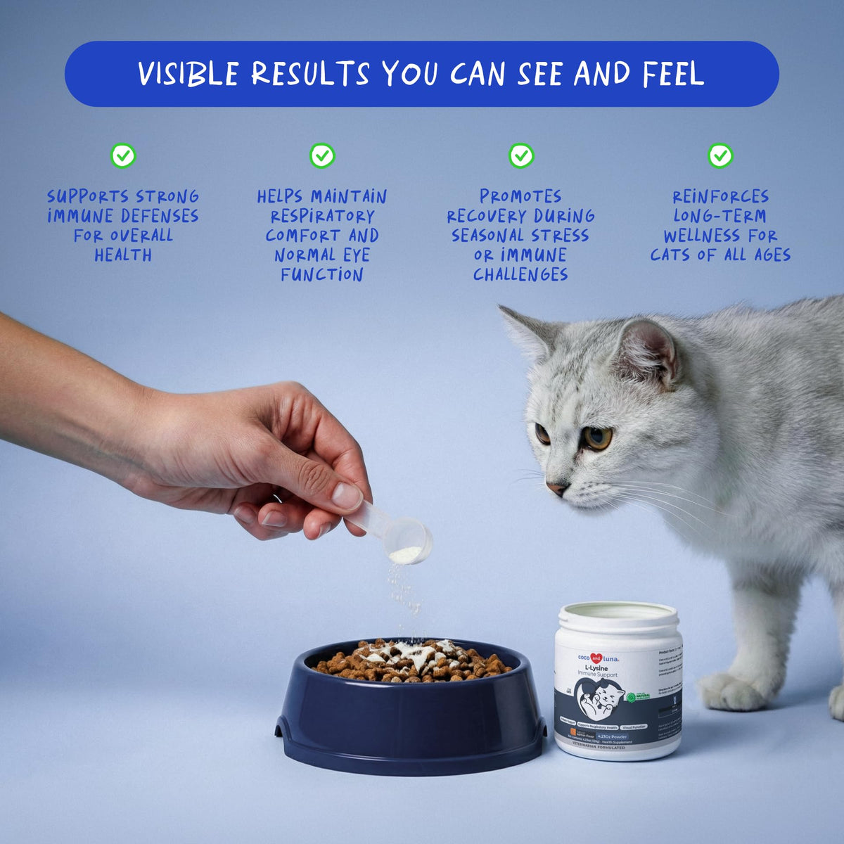 L-Lysine Supplement for Cats 900mg/scoop - Cat Supplement for Sneezing and Runny Nose, Cold, Immune Support, Eye Function - PrimeBioHealth - canada supplements