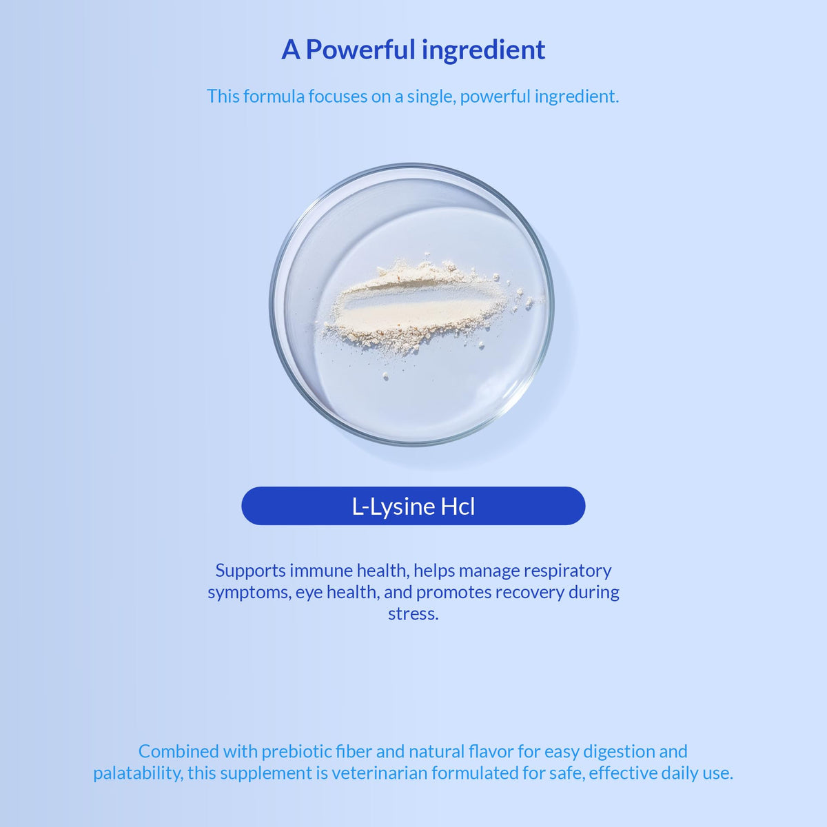 L-Lysine Supplement for Cats 900mg/scoop - Cat Supplement for Sneezing and Runny Nose, Cold, Immune Support, Eye Function - PrimeBioHealth - canada supplements