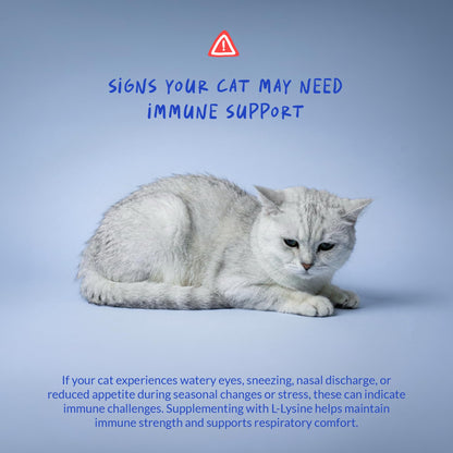 L-Lysine Supplement for Cats 900mg/scoop - Cat Supplement for Sneezing and Runny Nose, Cold, Immune Support, Eye Function - PrimeBioHealth - canada supplements