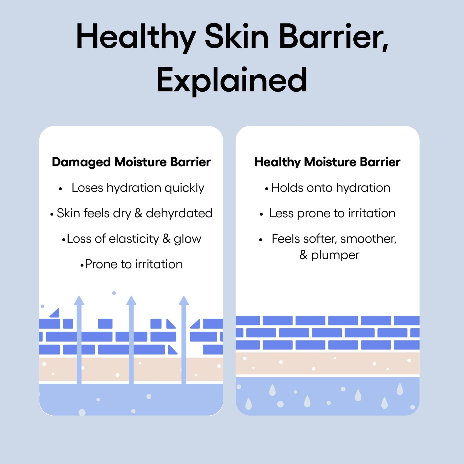 LANEIGE Water Bank Blue Hyaluronic Cream Moisturizer: Hydrating Korean Face Cream with Squalane & Ceramide - PrimeBioHealth - canada supplements