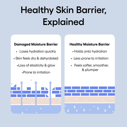 LANEIGE Water Bank Blue Hyaluronic Cream Moisturizer: Hydrating Korean Face Cream with Squalane & Ceramide - PrimeBioHealth - canada supplements