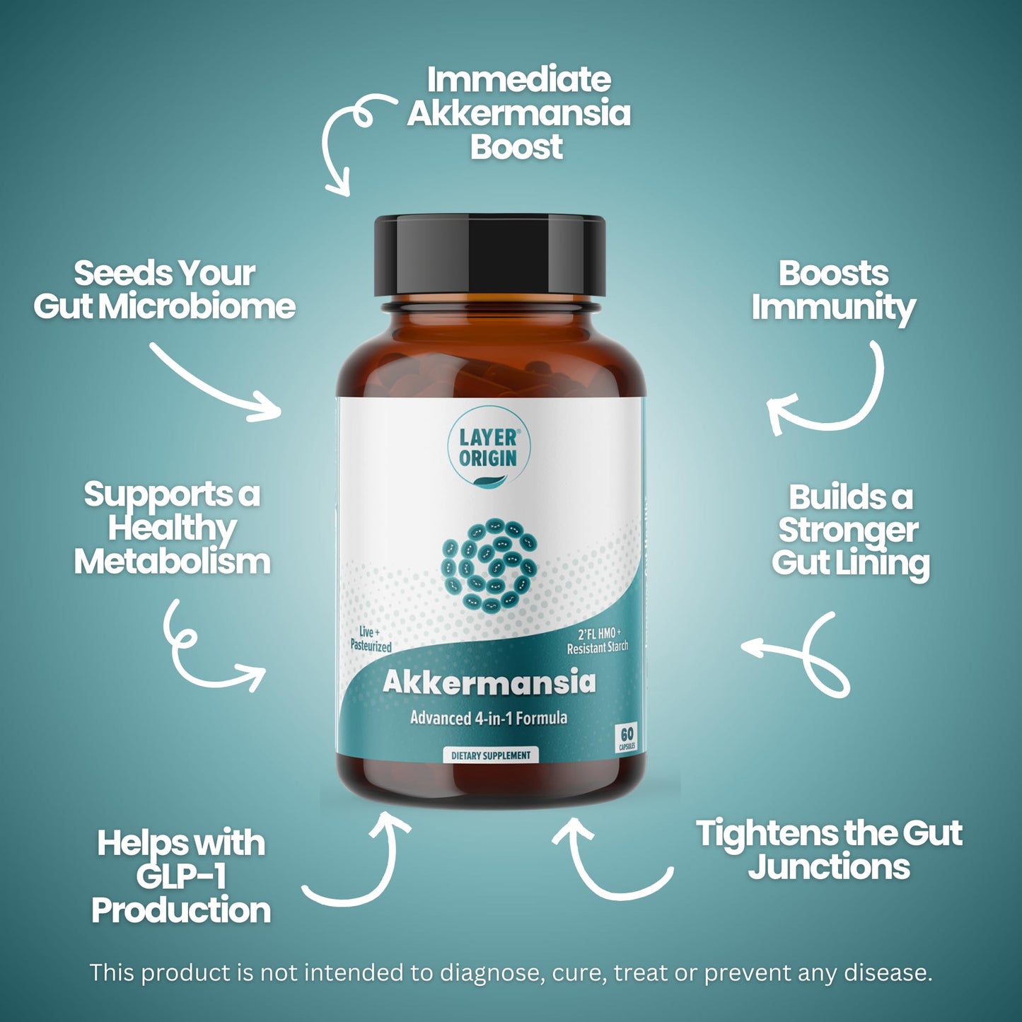 Layer Origin Akkermansia muciniphila Probiotic, with Both Live + Pasteurized Akkermansia and PureHMO Prebiotic, Validated Strain, Updated 4-in-1 Formula - PrimeBioHealth - canada supplements