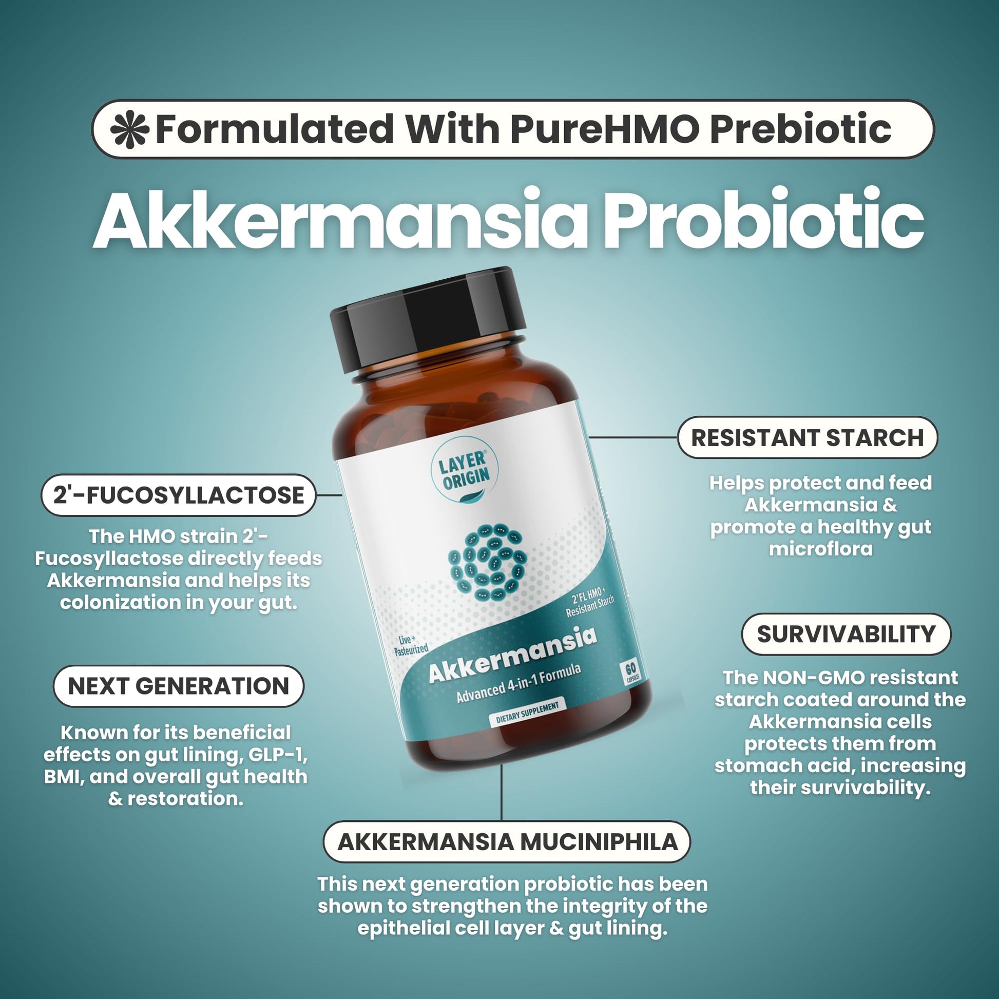 Layer Origin Akkermansia muciniphila Probiotic, with Both Live + Pasteurized Akkermansia and PureHMO Prebiotic, Validated Strain, Updated 4-in-1 Formula - PrimeBioHealth - canada supplements