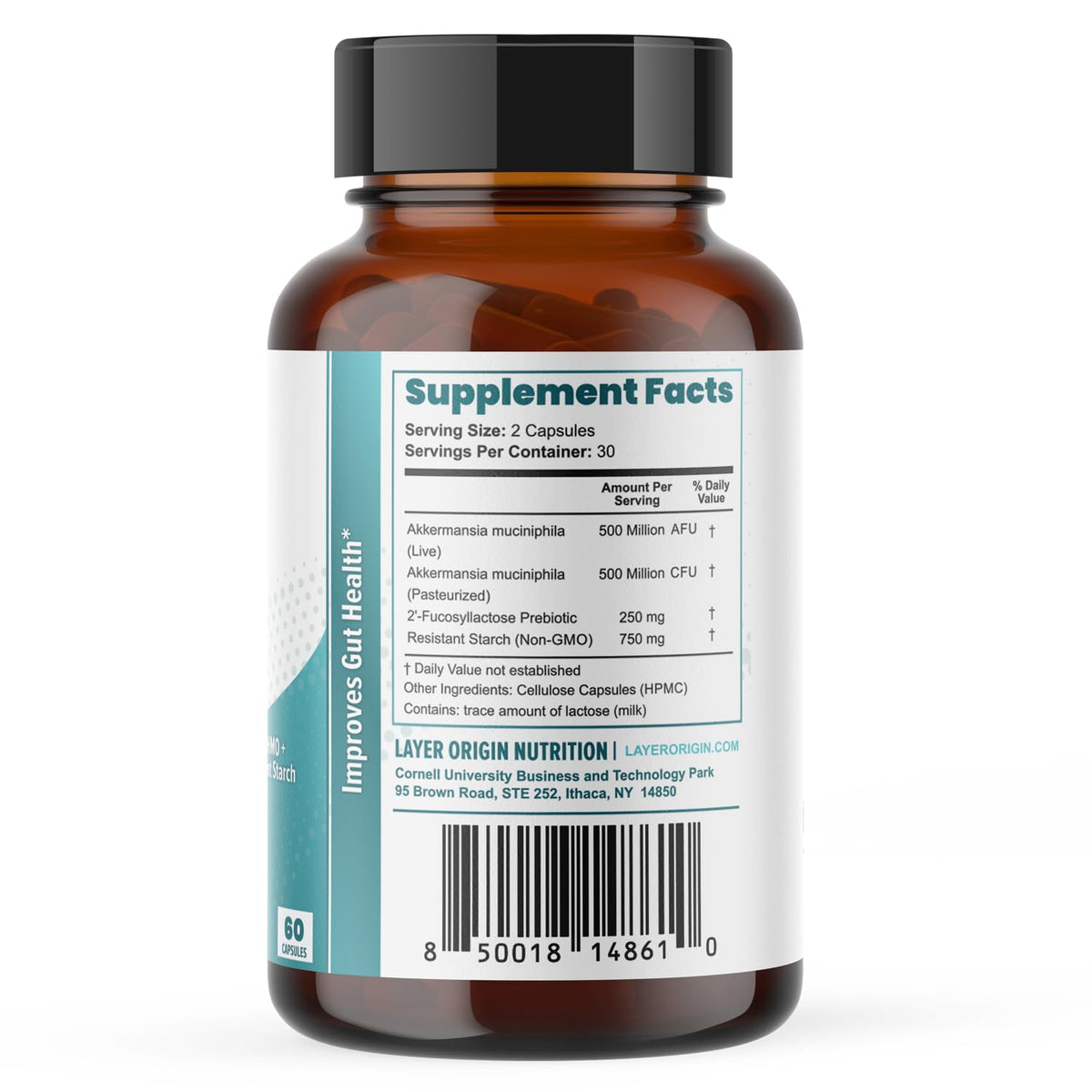 Layer Origin Akkermansia muciniphila Probiotic, with Both Live + Pasteurized Akkermansia and PureHMO Prebiotic, Validated Strain, Updated 4-in-1 Formula - PrimeBioHealth - canada supplements