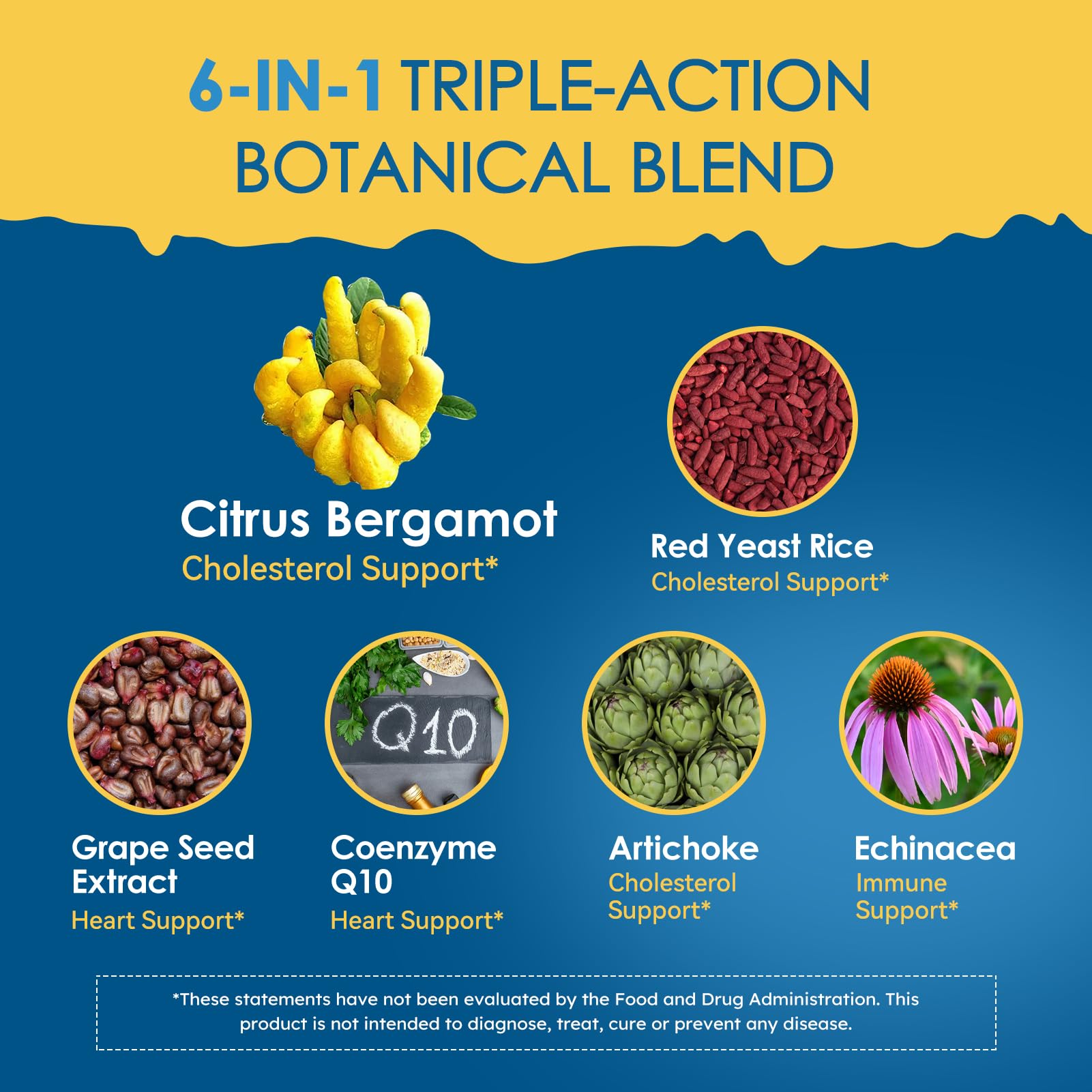 LeaforClensey Citrus Bergamot Liquid Drops for High Cholesterol, Bergamot Extract Blend Supplements with Red Yeast Rice & CoQ10 for Heart - PrimeBioHealth - canada supplements