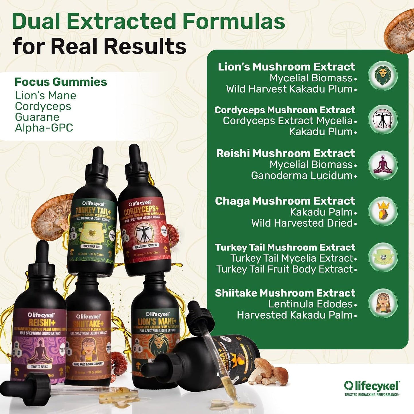 Life Cykel Premium Mushroom Extract Liquid Bundle – Lion’s Mane, Cordyceps, Reishi, Chaga, Turkey Tail & Shiitake (1oz Each) with Included Energy Gummies (10-Count), for Vitality & Mental Clarity - PrimeBioHealth - canada supplements