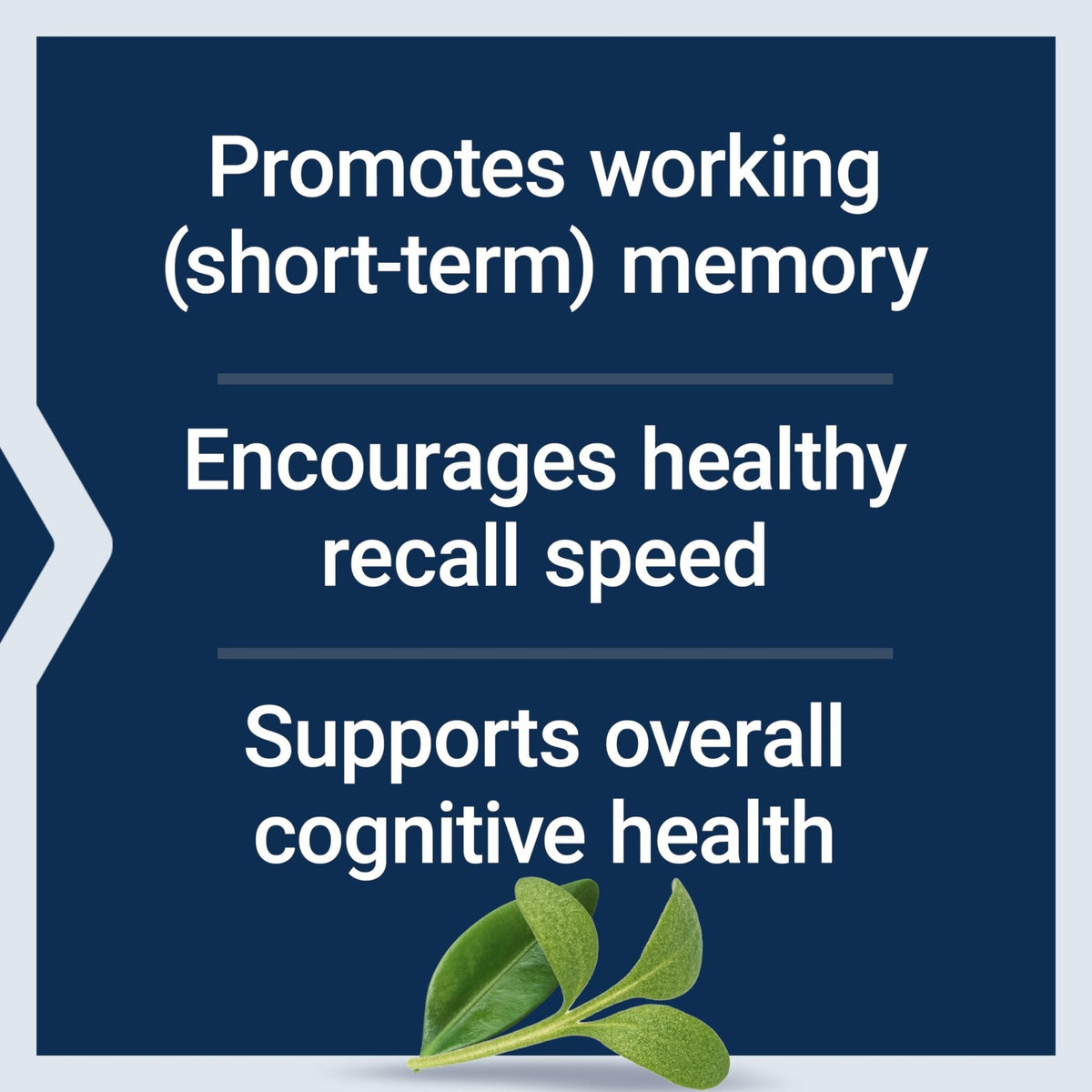 Life Extension Neuro-Mag Magnesium L-Threonate Powder (Tropical Punch) - Ultra-Absorbable Magnesium - Supports Memory, Focus, Cognitive Function & Mood - PrimeBioHealth - canada supplements