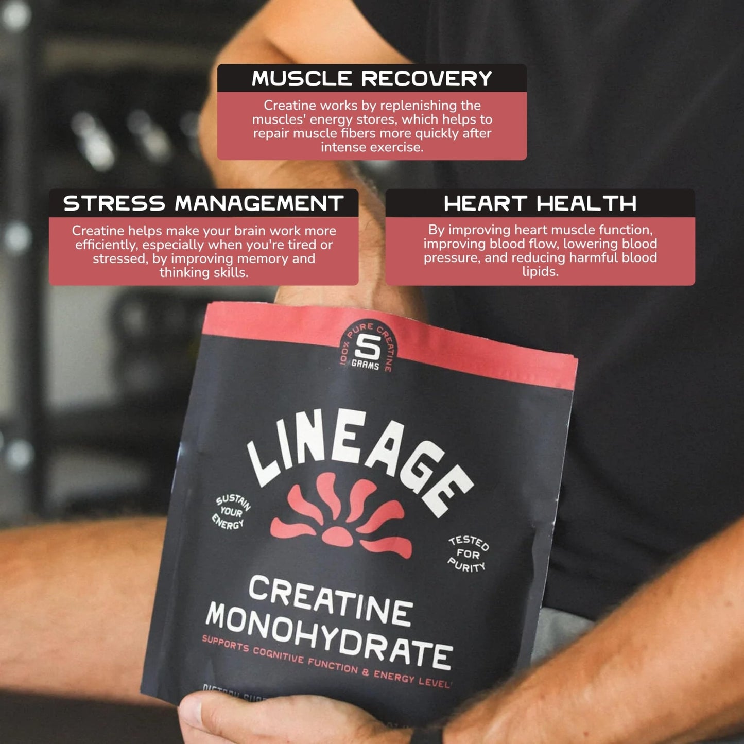 Lineage Provisions Micronized Creatine Monohydrate with Sea Salt - Micronized Creatine Powder for Training & Performance - PrimeBioHealth - canada supplements
