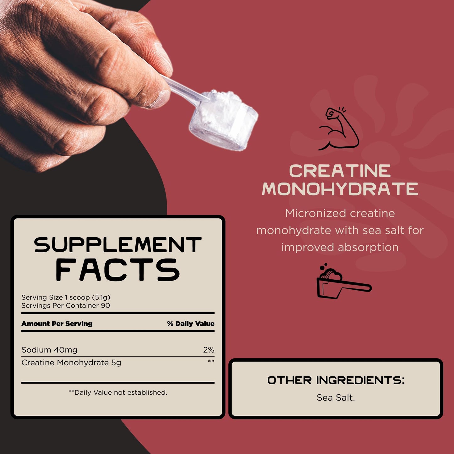 Lineage Provisions Micronized Creatine Monohydrate with Sea Salt - Micronized Creatine Powder for Training & Performance - PrimeBioHealth - canada supplements