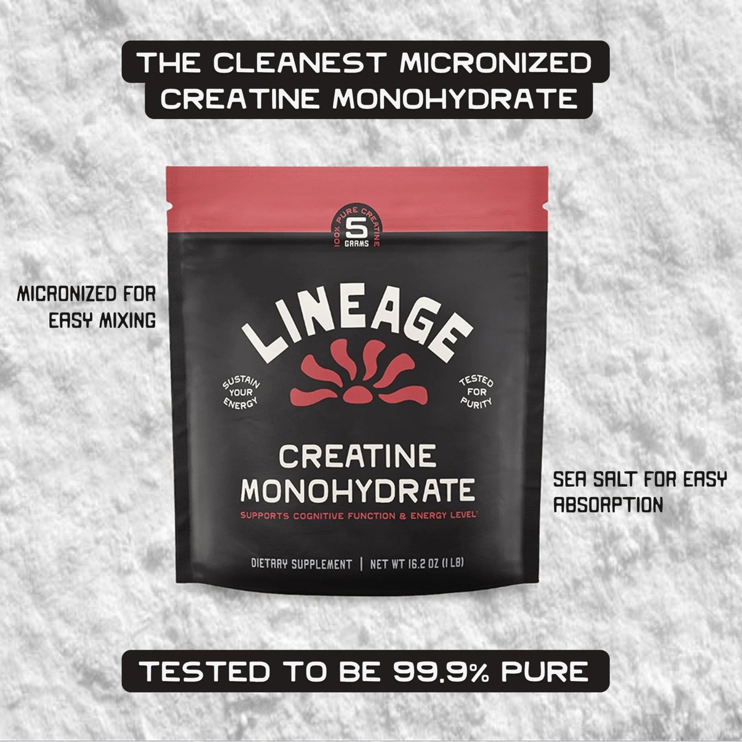 Lineage Provisions Micronized Creatine Monohydrate with Sea Salt - Micronized Creatine Powder for Training & Performance - PrimeBioHealth - canada supplements