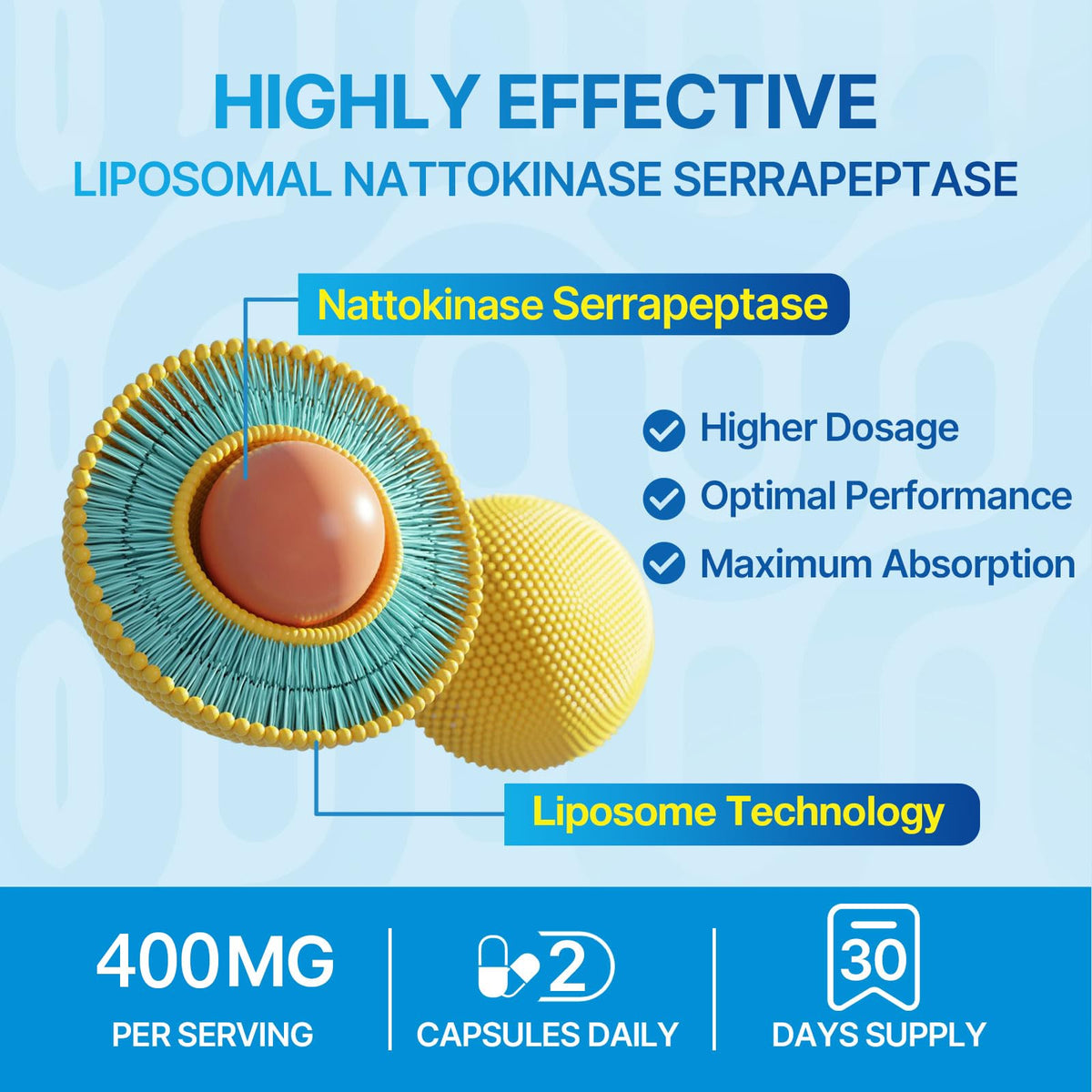 Liposomal Nattokinase 12,000 FU Serrapeptase 360,000 SPU Enzyme Supplement - Enriched with Synergistic Enzymes and Nutrient Blend & Inulin for Circulatory - PrimeBioHealth - canada supplements