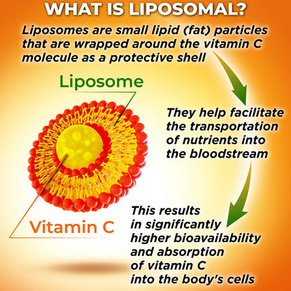 Liposomal Vitamin C Capsules - 1500mg - Made with Organic Acerola Cherries & Camu Camu, High Potency Vitamin C Liposomal - Immune Support Supplement - PrimeBioHealth - canada supplements