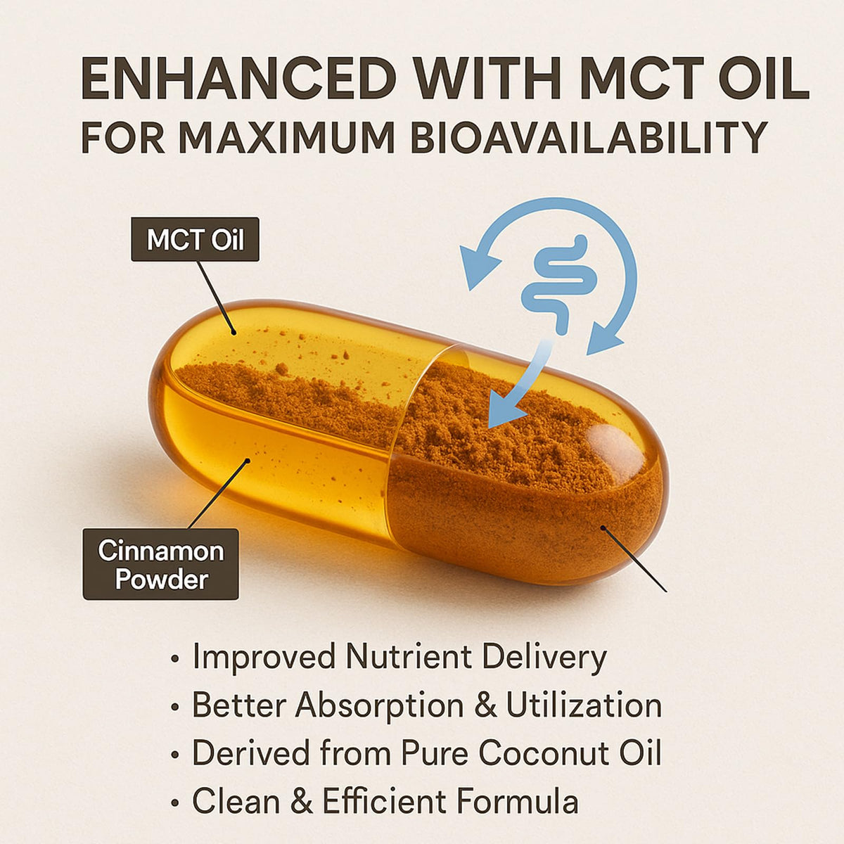 LIRAE Ceylon Cinnamon Softgels with MCT Oil – 300 Softgels – True Ceylon Cinnamon Supplement – Non-GMO, Gluten Free - PrimeBioHealth - canada supplements
