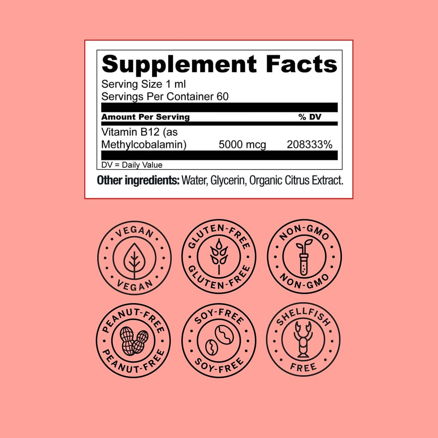 Live Conscious Vegan Vitamin B12 Sublingual Liquid Drops | Methylcobalamin Max Strength B12 5000mcg Formula | Vegan B 12 Vitamin Support Energy | Promote Memory & Aid Immune System | 60 Serving - PrimeBioHealth - canada supplements
