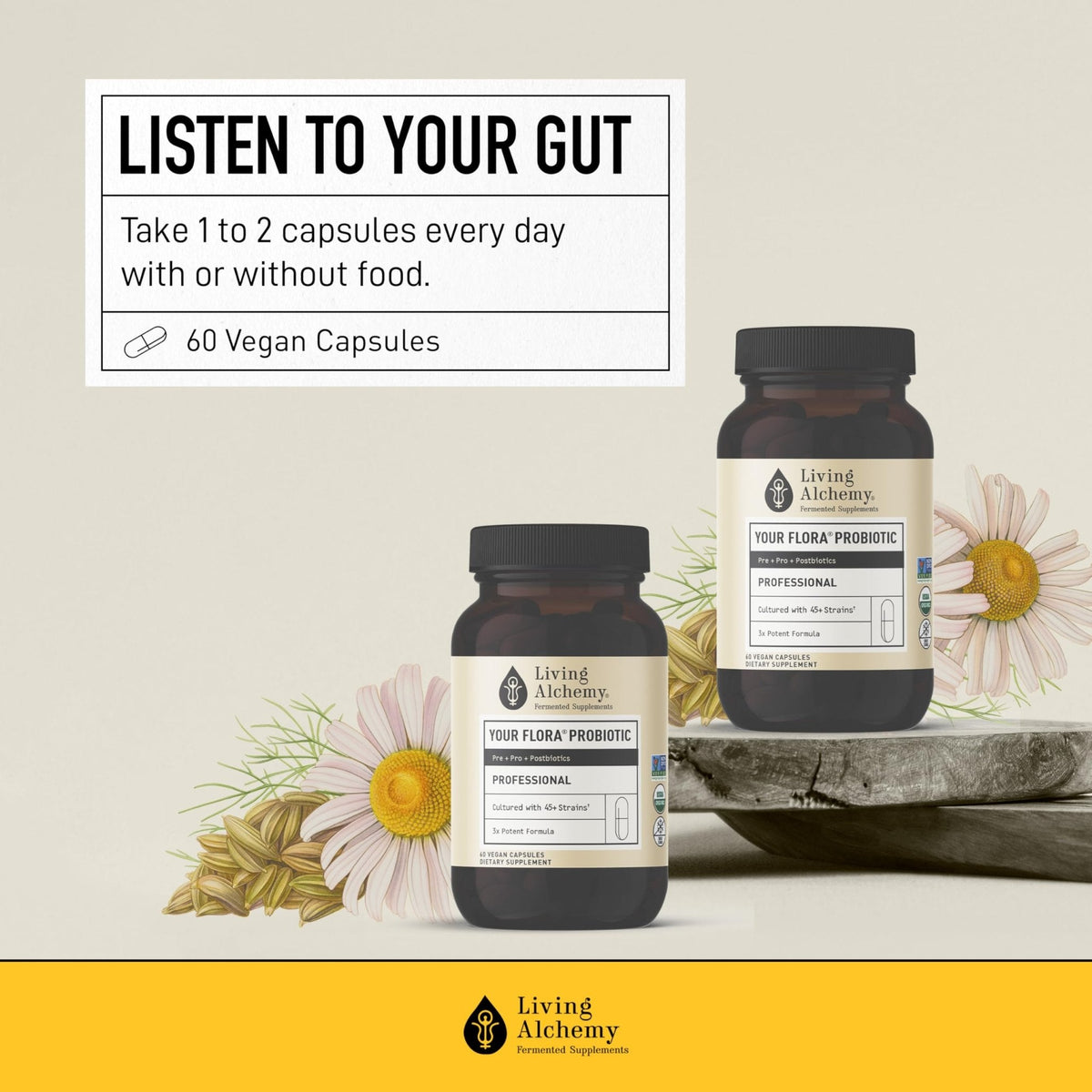 Living Alchemy Gut Health Supplements for Men & Women - Your Flora Probiotic Professional Digestion Supplement with Fermented Soybean, Prebiotics, - PrimeBioHealth - canada supplements
