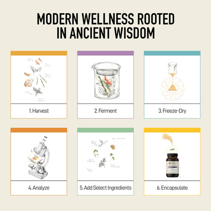 Living Alchemy Gut Health Supplements for Men & Women - Your Flora Probiotic Professional Digestion Supplement with Fermented Soybean, Prebiotics, - PrimeBioHealth - canada supplements