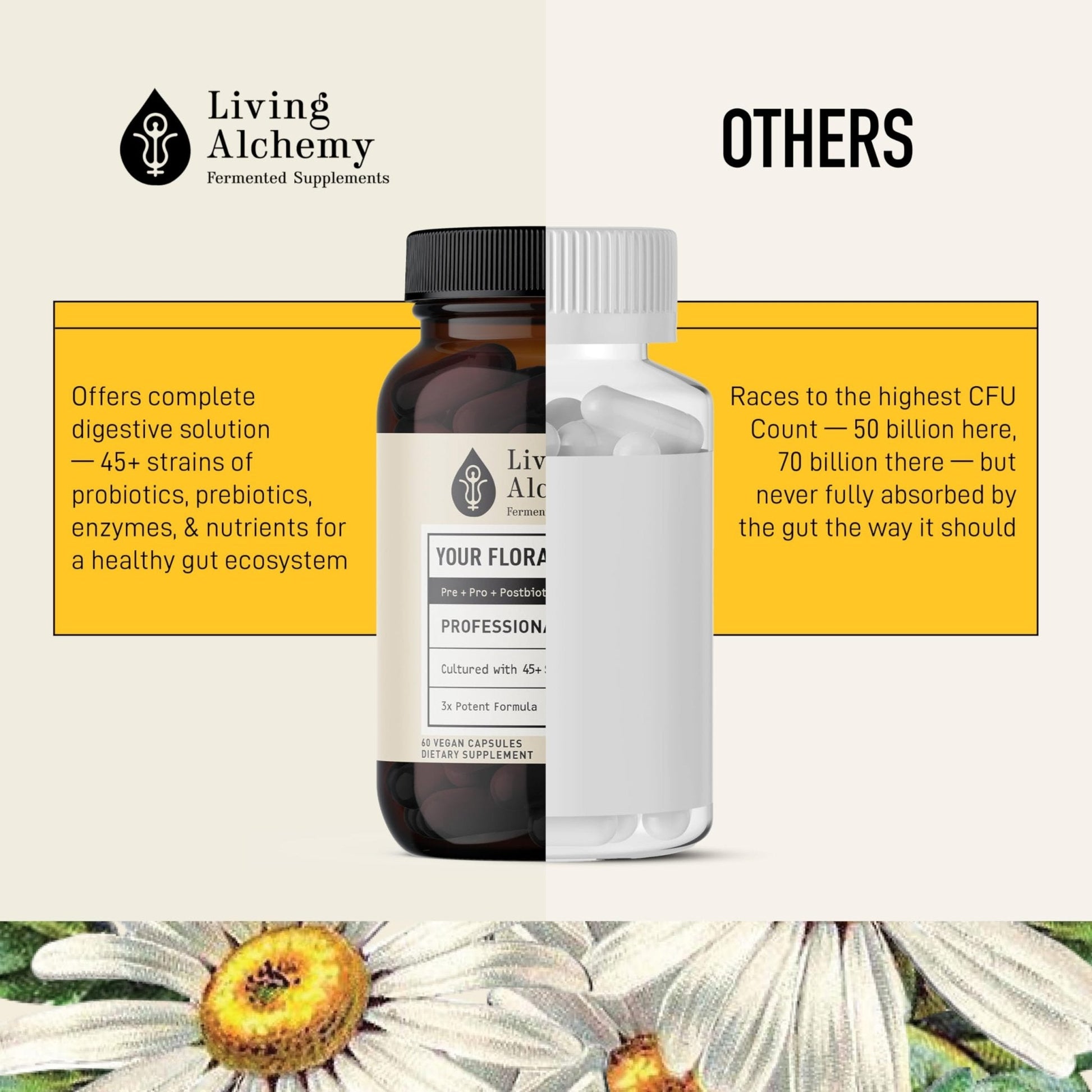 Living Alchemy Gut Health Supplements for Men & Women - Your Flora Probiotic Professional Digestion Supplement with Fermented Soybean, Prebiotics, - PrimeBioHealth - canada supplements