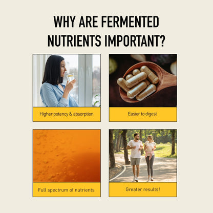 Living Alchemy Gut Health Supplements for Men & Women - Your Flora Probiotic Professional Digestion Supplement with Fermented Soybean, Prebiotics, - PrimeBioHealth - canada supplements