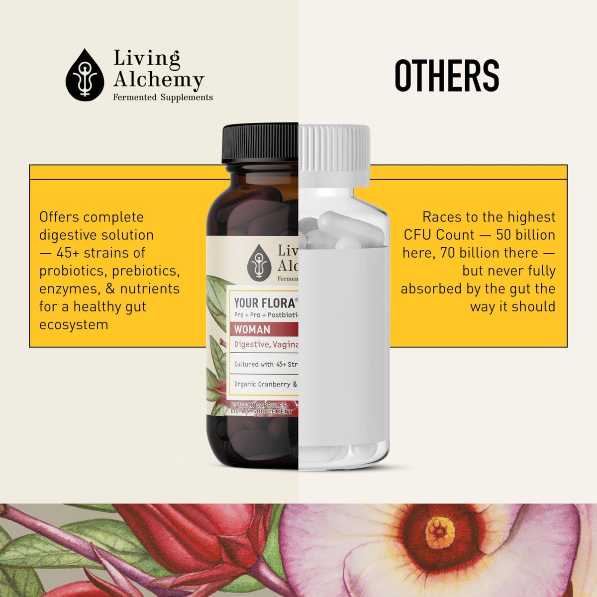 Living Alchemy Gut Health Supplements for Women - Your Flora Probiotics Women with Fermented Soybean, Cranberry Juice, Roselle, Prebiotics, Digestive Enzyme, & Probiotics - Vegan, Non-GMO, 60 Pcs - PrimeBioHealth - canada supplements