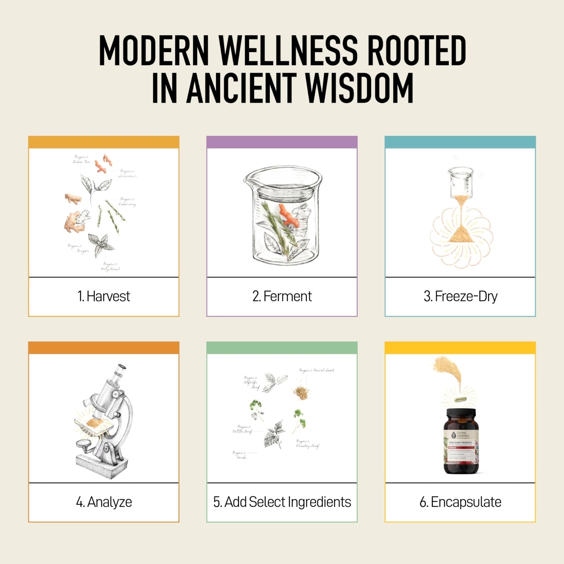 Living Alchemy Gut Health Supplements for Women - Your Flora Probiotics Women with Fermented Soybean, Cranberry Juice, Roselle, Prebiotics, Digestive Enzyme, & Probiotics - Vegan, Non-GMO, 60 Pcs - PrimeBioHealth - canada supplements