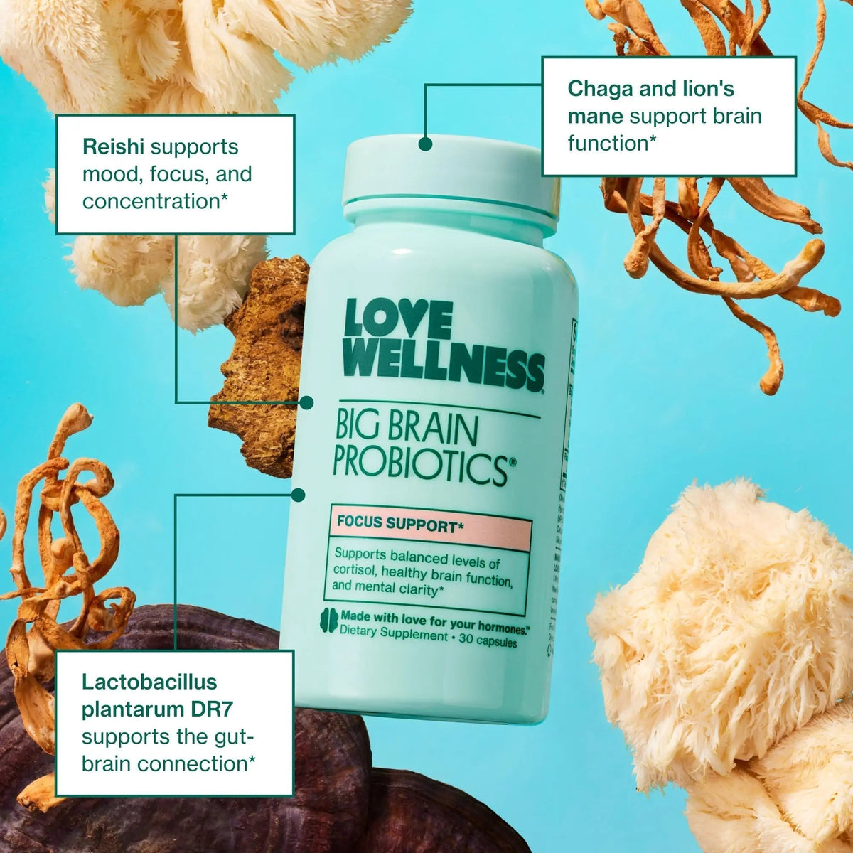 Love Wellness Daily Love Multivitamin & Big Brain Probiotics | Mind and Body Duo | Womens Vitamin and Probitoic - PrimeBioHealth - canada supplements