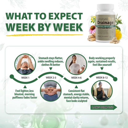 Lymphatic Drainage Capsules Natural Herbal Supplement for Immune Health & Fluid Balance, with Echinacea, Dandelion, and Burdock 60 Capsules - PrimeBioHealth - canada supplements