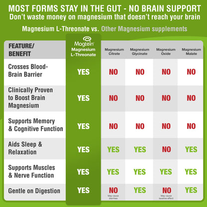 Magtein - Magnesium L-Threonate Supplement, Memory, Focus, Sleep & Brain Health Formula for Men & Women, Cognitive Support for Adults - PrimeBioHealth - canada supplements