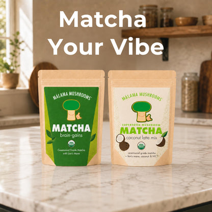 Malama Ceremonial Grade Matcha Powder - Premium Japanese Matcha Green Tea Powder with Organic Lion’s Mane Extract - Organic, Gluten-Free, Vegan, & Unsweetened (2.1 oz) for Energy & Focus - PrimeBioHealth - canada supplements