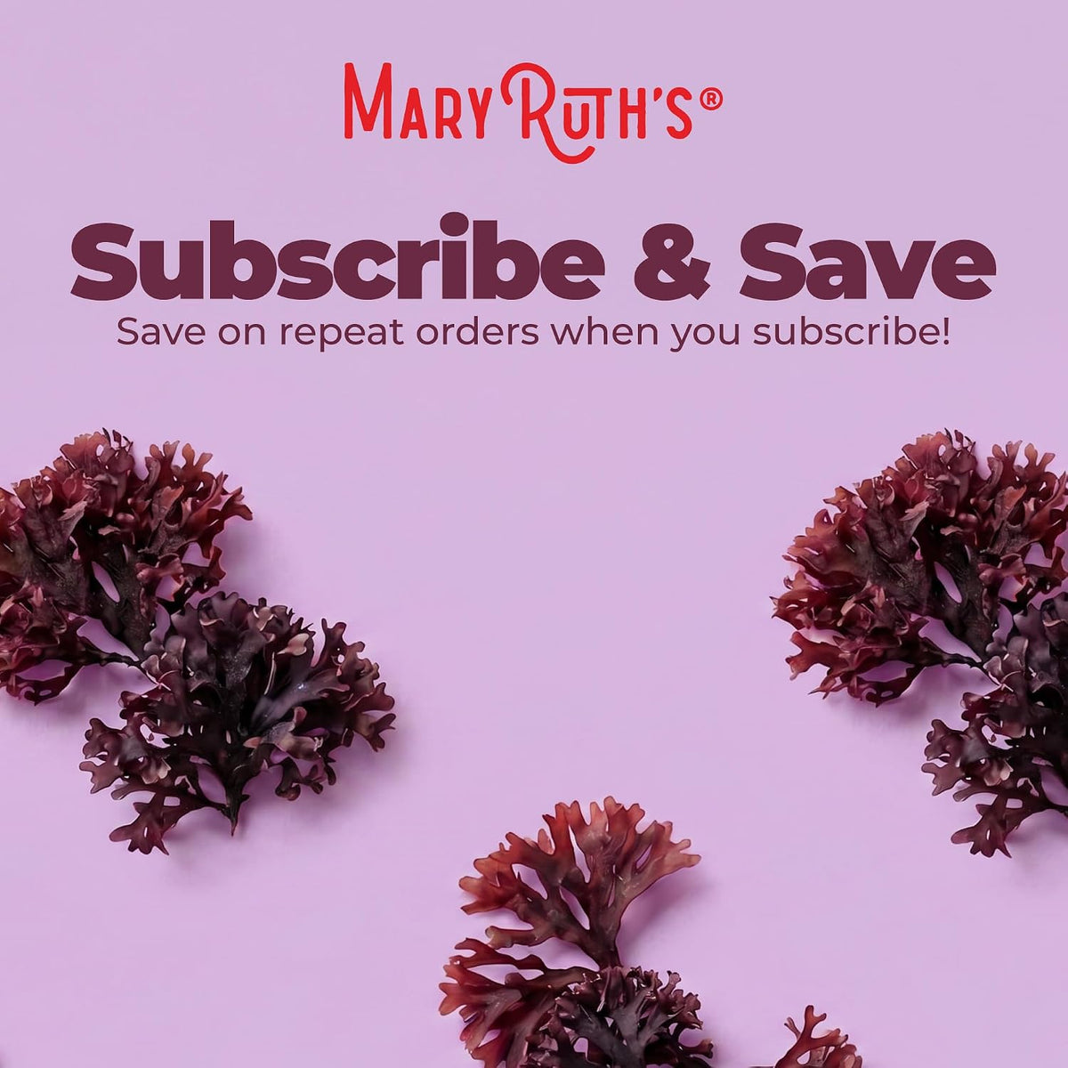 MARYRUTH'S Organic Irish Sea Moss Liquid Drops | Chondrus Crispus | Wild Harvested | Organic Irish Moss Formulated for Adults & Kids Ages 14+ | Unflavored | Sugar Free | Vegan | Non-GMO | 1 Fl Oz - PrimeBioHealth - canada supplements
