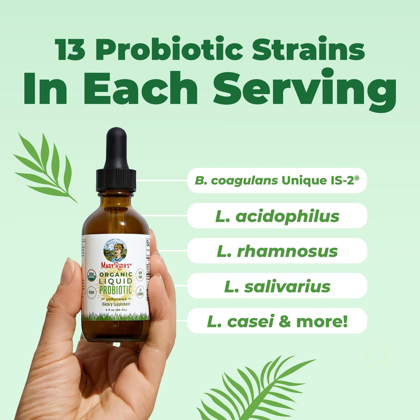 MARYRUTH'S Organics Liquid Probiotic for Ages 4+ | 2 Billion CFU | 13 Probiotic Strains | Gut Health & Digestive Support | Gas & Bloating Support | Vegan | Gluten Free | Travel-Friendly | 40 Servings - PrimeBioHealth - canada supplements