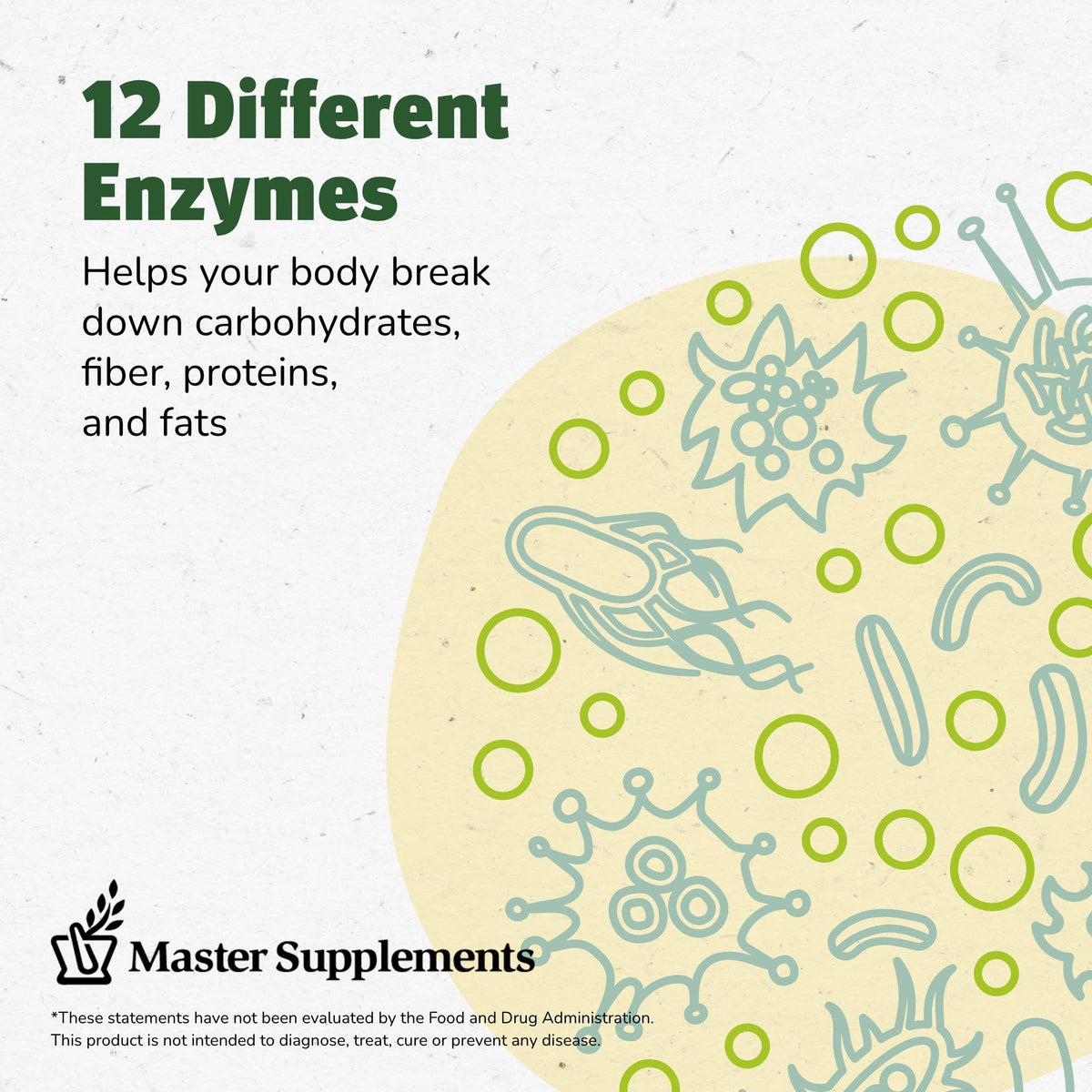 Master Supplements Enzalase - 50 Capsules - Probiotic Compatible Enzymes - Provides Digestive Boost + Gas & Bloating Relief - Gluten Free - 50 Servings - PrimeBioHealth - canada supplements