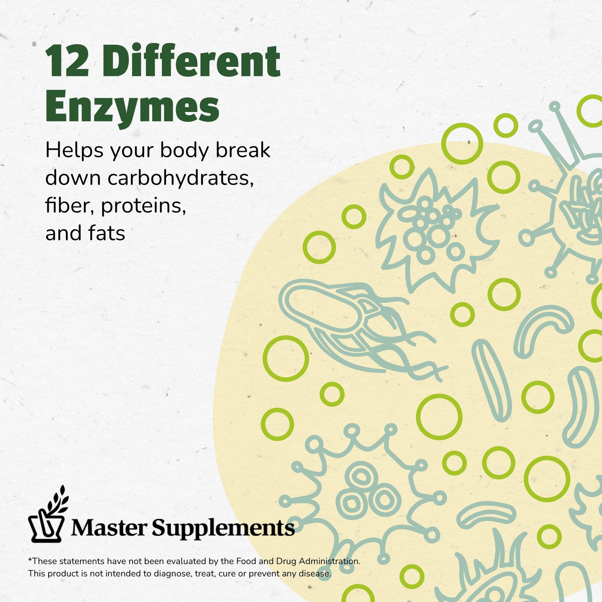 Master Supplements Enzalase - 50 Capsules - Probiotic Compatible Enzymes - Provides Digestive Boost + Gas & Bloating Relief - Gluten Free - 50 Servings - PrimeBioHealth - canada supplements