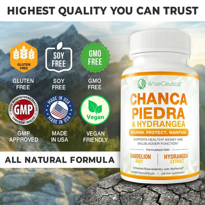 Max Strength Chanca Piedra, Hydrangea & Dandelion Root - Natural Kidney & Gallbladder Formula - Stone Breaker, Flush Impurities, Cleanse Urinary Tract - Enhanced with BioPerine. 60 Veggie Capsules. - PrimeBioHealth - canada supplements