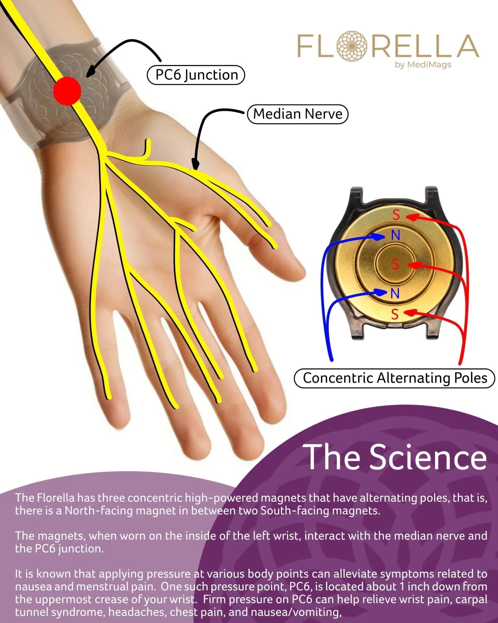MediMags Period Pain Relief Device - Clinically Proven, All Natural Relief for A Life On The Go - The Florella Therapeutic Device Helps Alleviate The Pain from Menstrual Cramps. - PrimeBioHealth - canada supplements